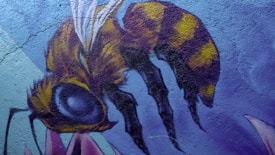 A colorful, detailed mural of a bee on a textured wall. The bee is painted in shades of yellow and black with prominent wings and large eyes. The background is a mix of blues and purples, adding a vibrant backdrop to the artwork.