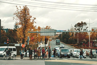 people walking on pedestrian lane during daytime