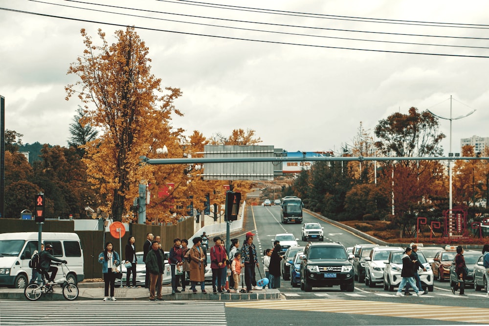 people walking on pedestrian lane during daytime