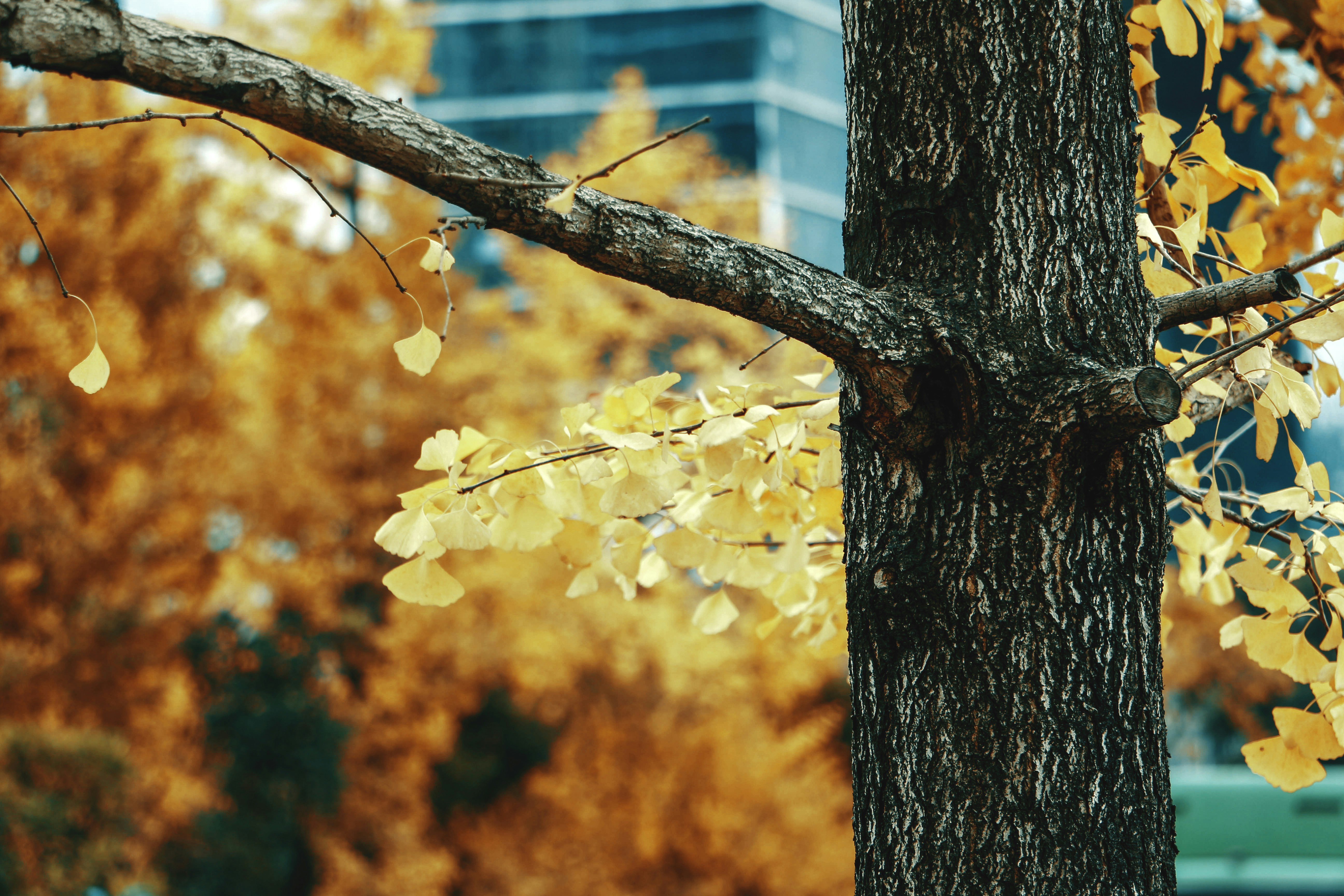 Photo by diamant_momo