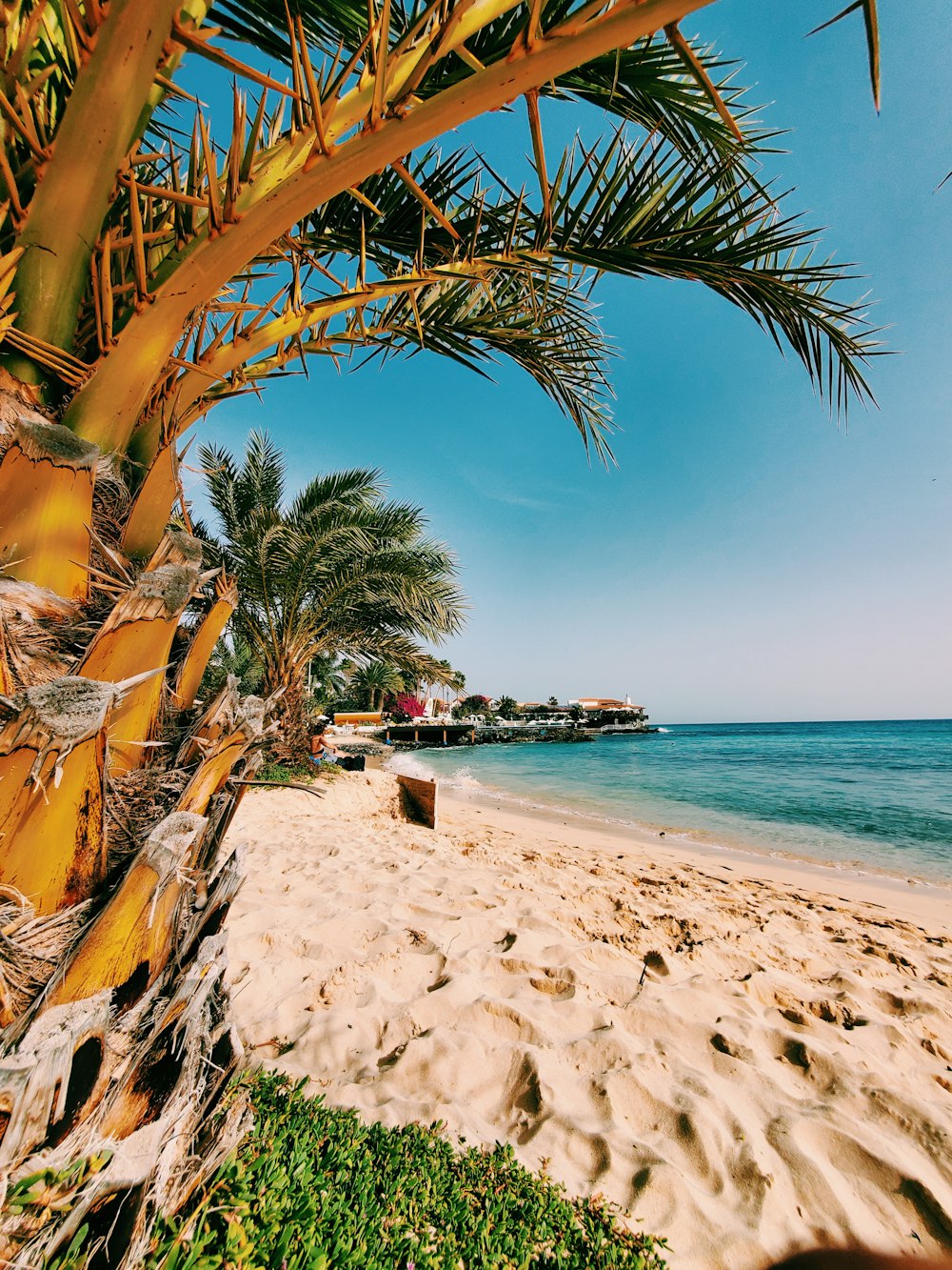 people on beach during daytime