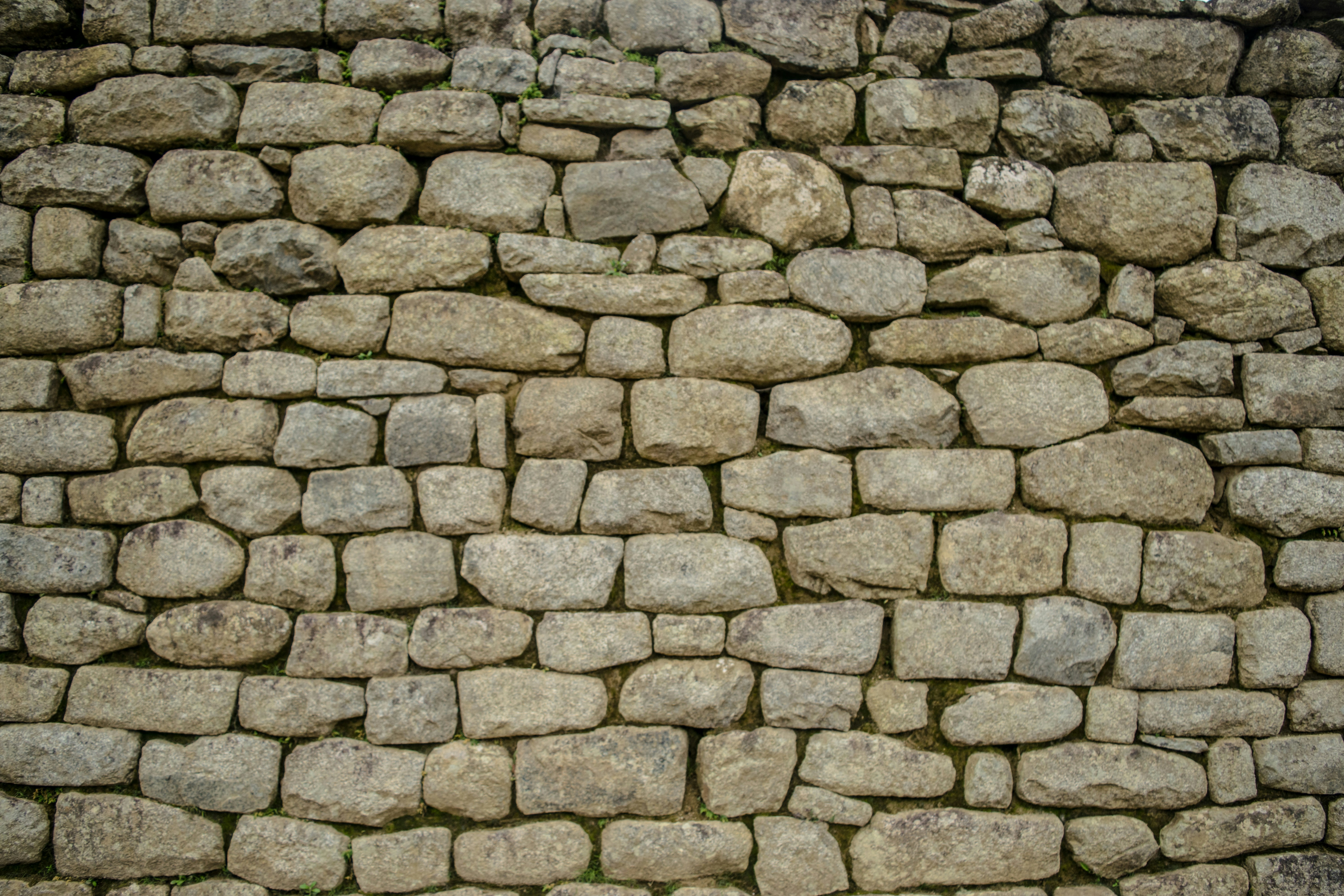 Photo by angelamarquez