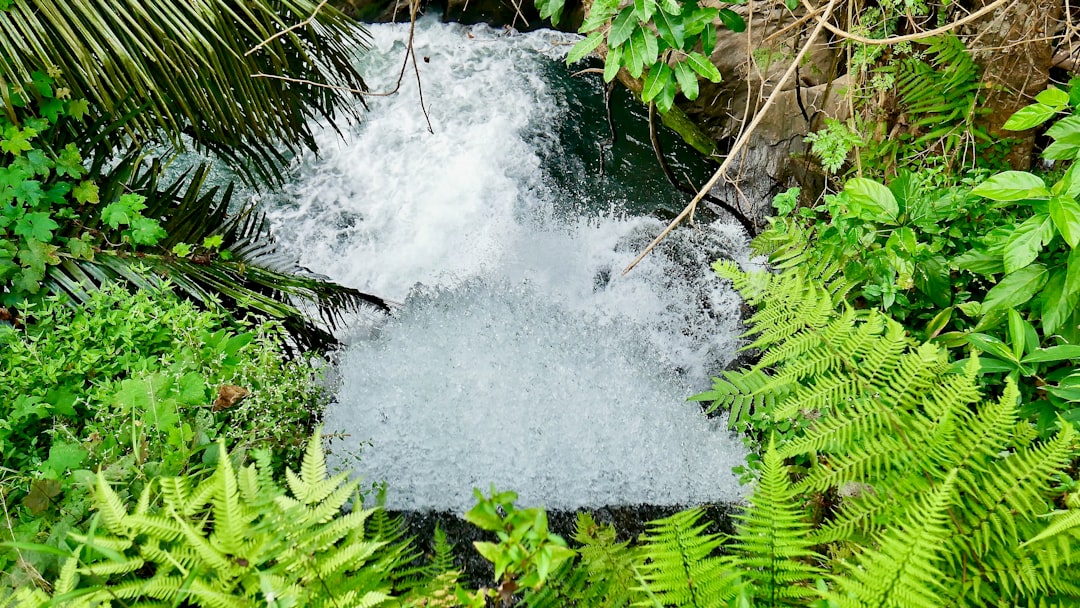 Nature reserve photo spot Meenwallam Water Falls. Valparai