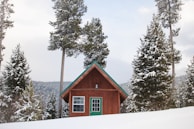 A prefab cottage with a snow-load roof surrounded by pine trees under a clear sky.