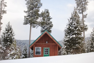 A prefab cottage with a snow-load roof surrounded by pine trees under a clear sky.