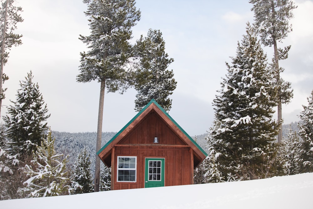 昼間は緑の木々の近くの雪に覆われた地面の茶色の木造住宅