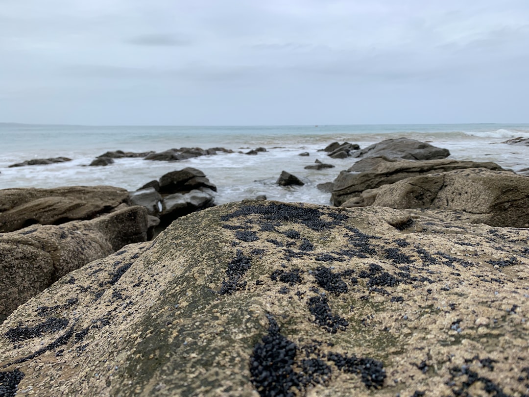 beach-rocks ... photo