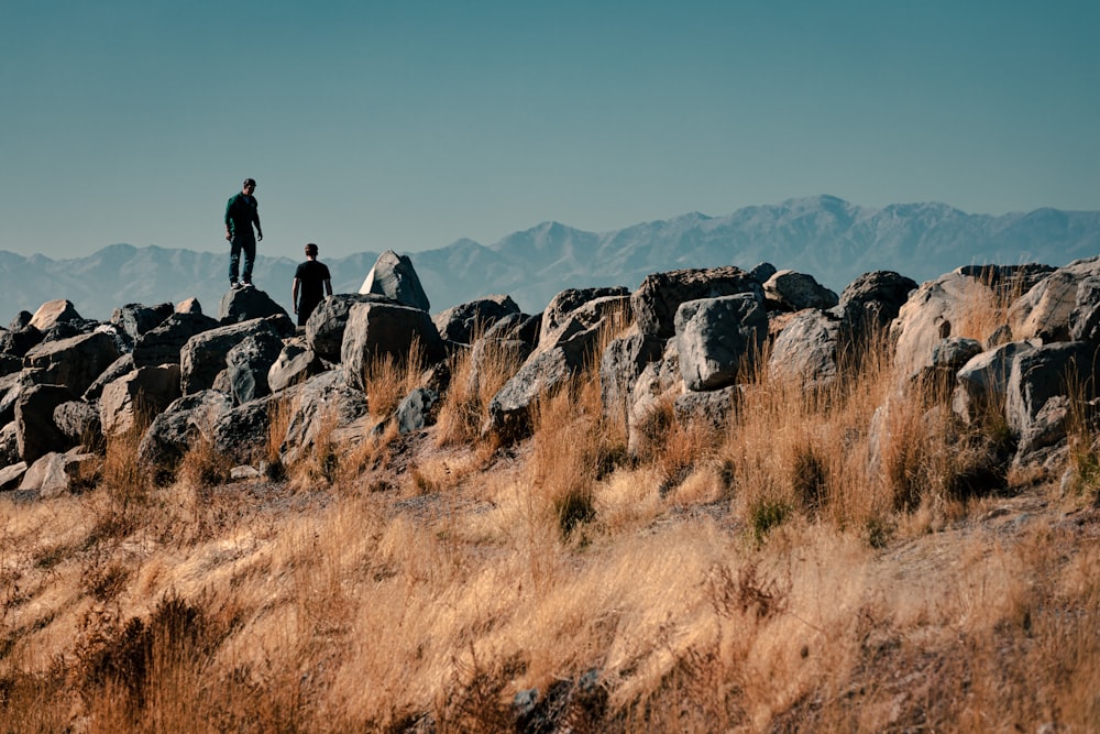 people standing on brown grass field during daytime