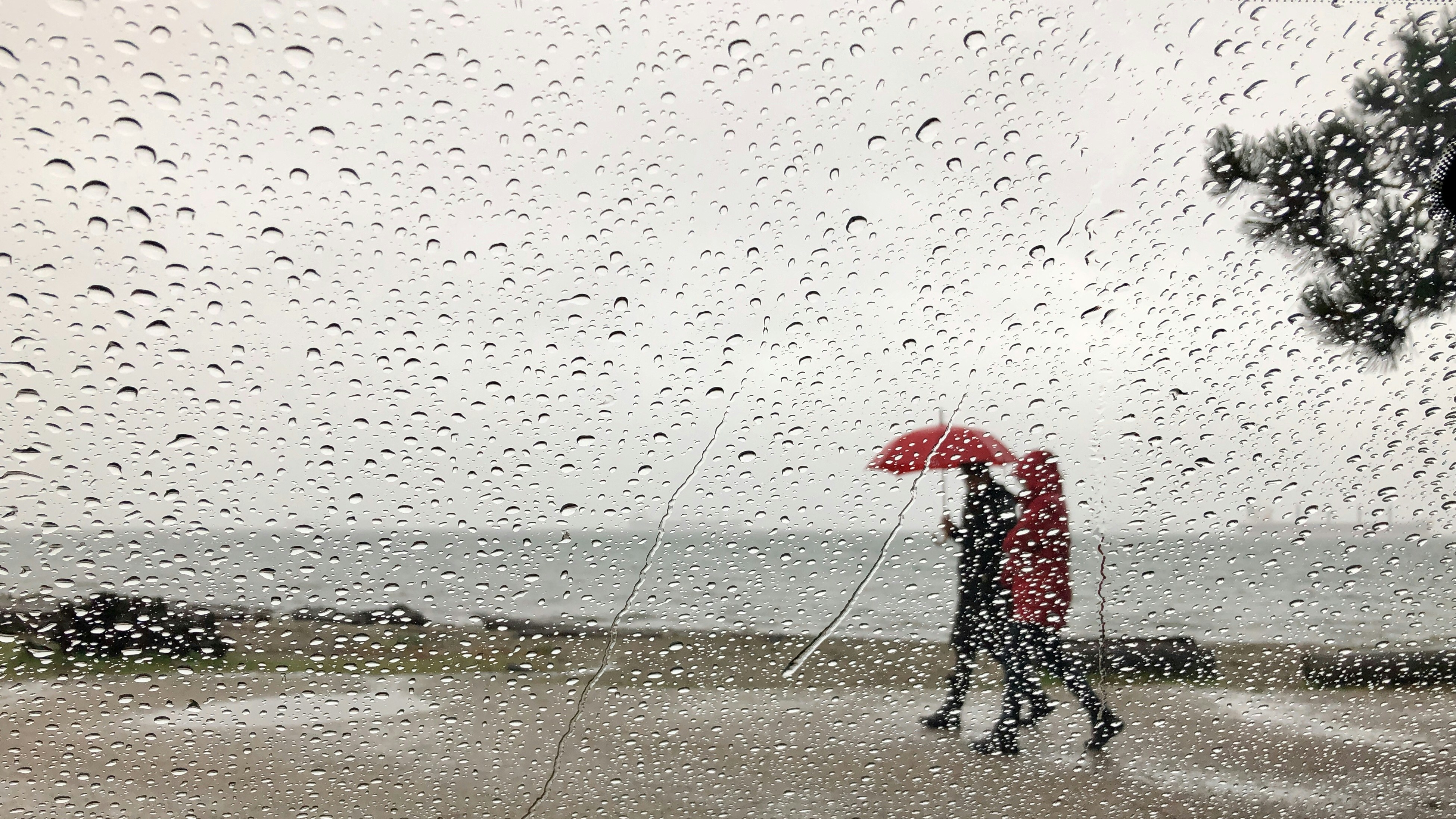 person in black jacket holding red umbrella walking on wet sand during daytime