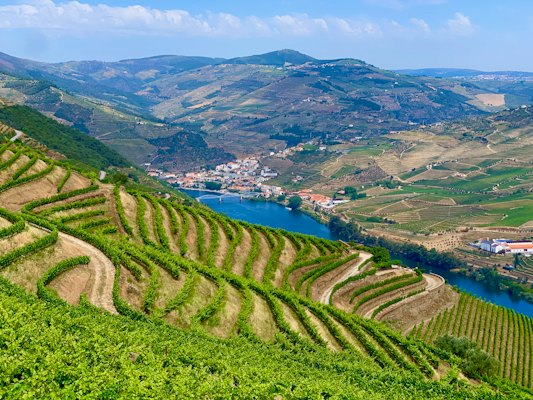 Green grass field near body of water during daytime — Azores, Portugal