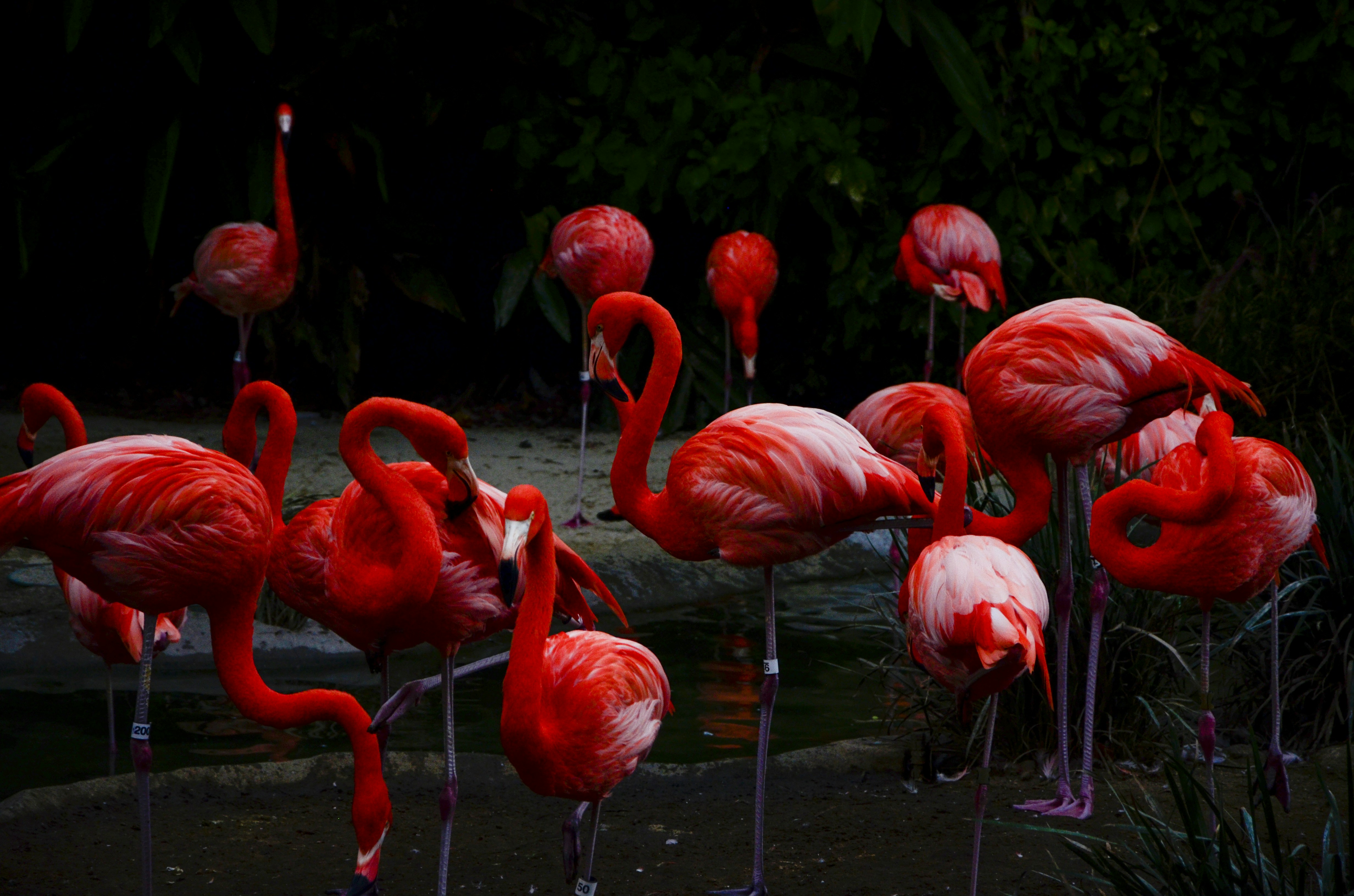 1. 上田市の革新的美容体験：美容鍼の紹介
