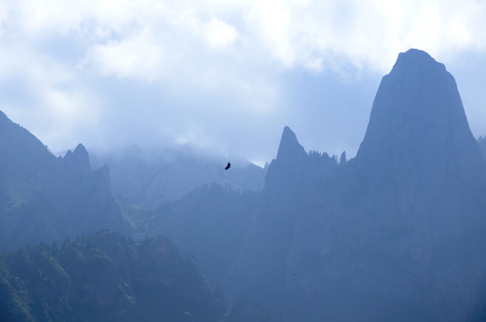 bird flying over the mountains during daytime