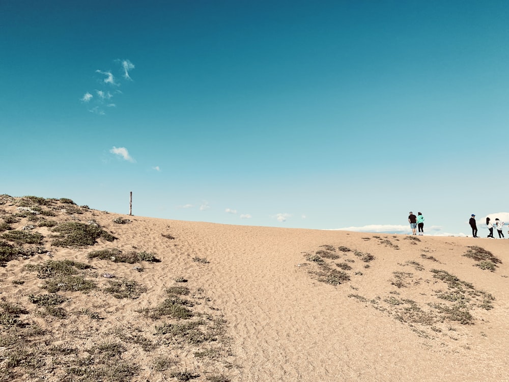 Menschen, die tagsüber auf braunem Sand unter blauem Himmel spazieren gehen