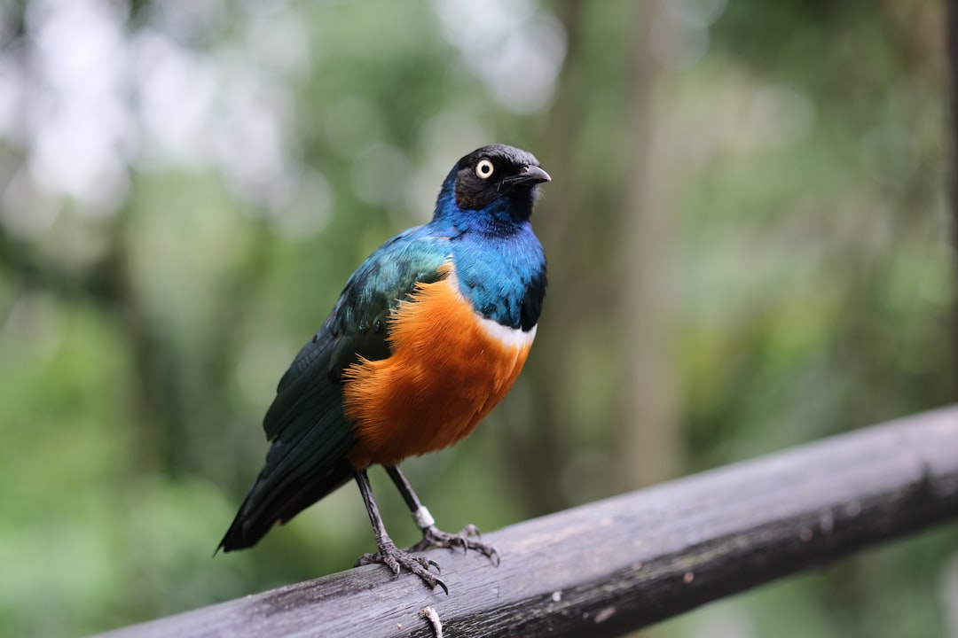Wildlife photo spot Jurong Bird Park Pulau Ubin