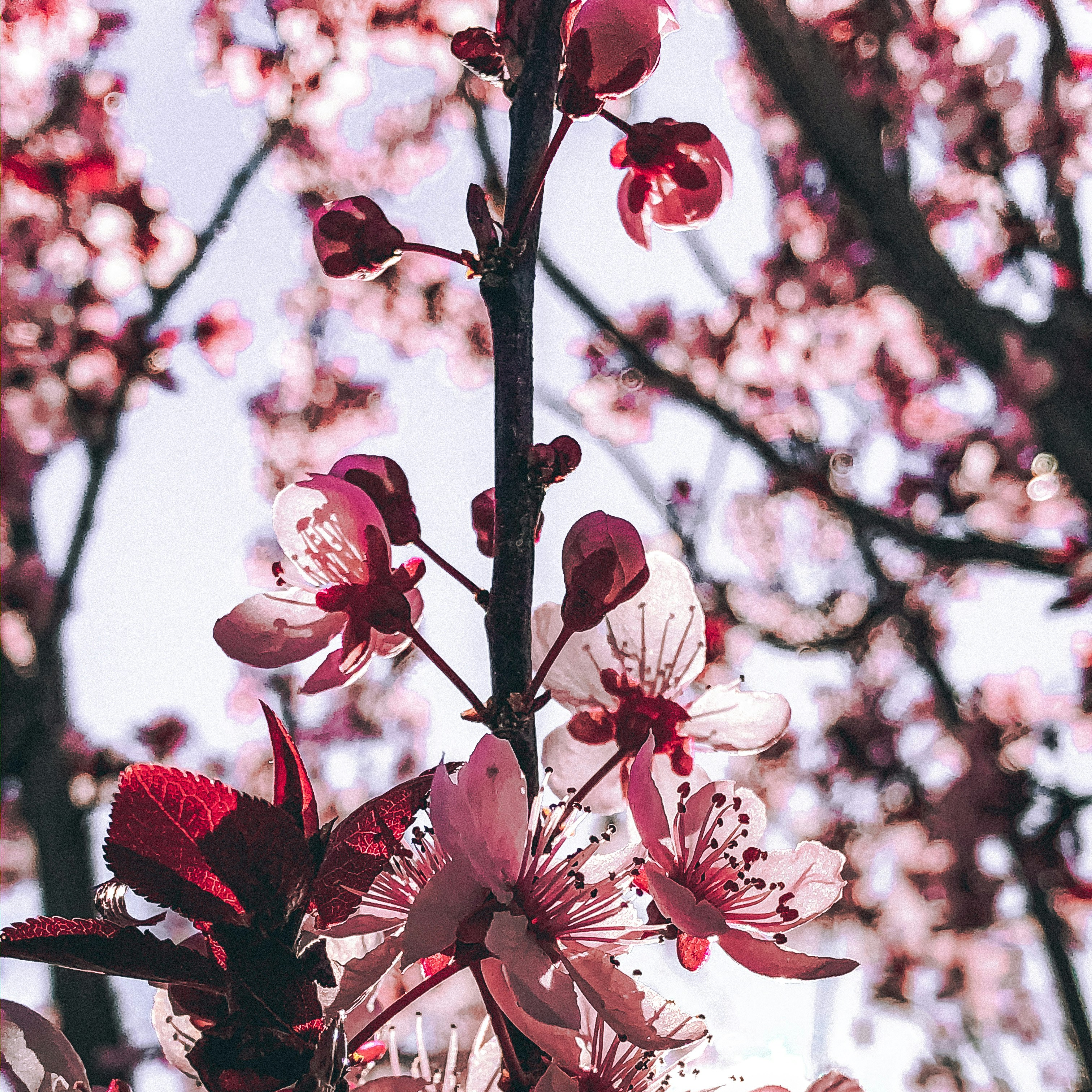 Photo by jazzborquez