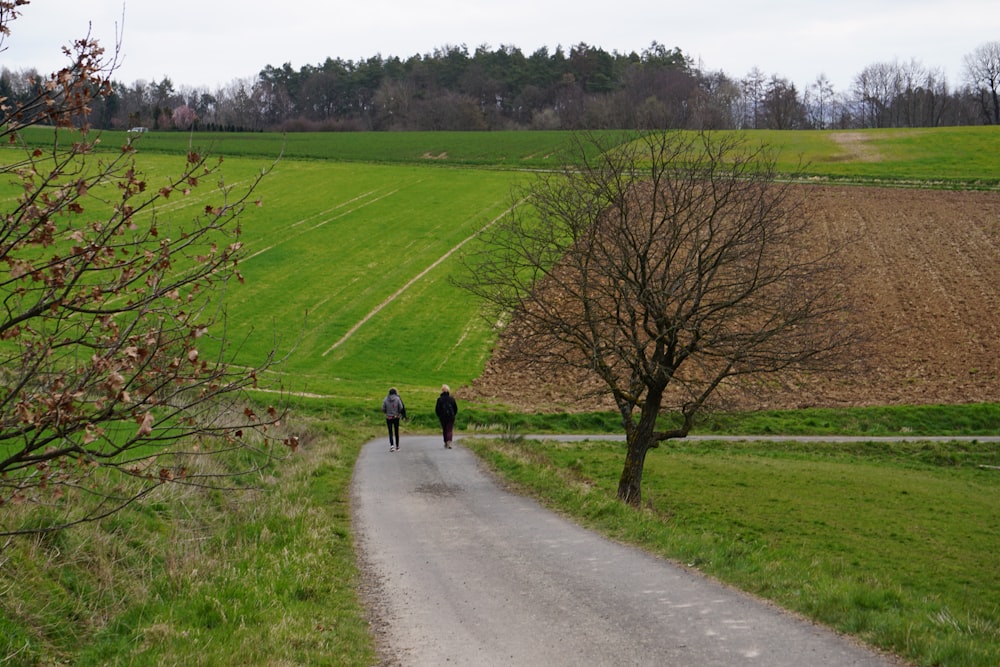 2 personas caminando por la carretera durante el día