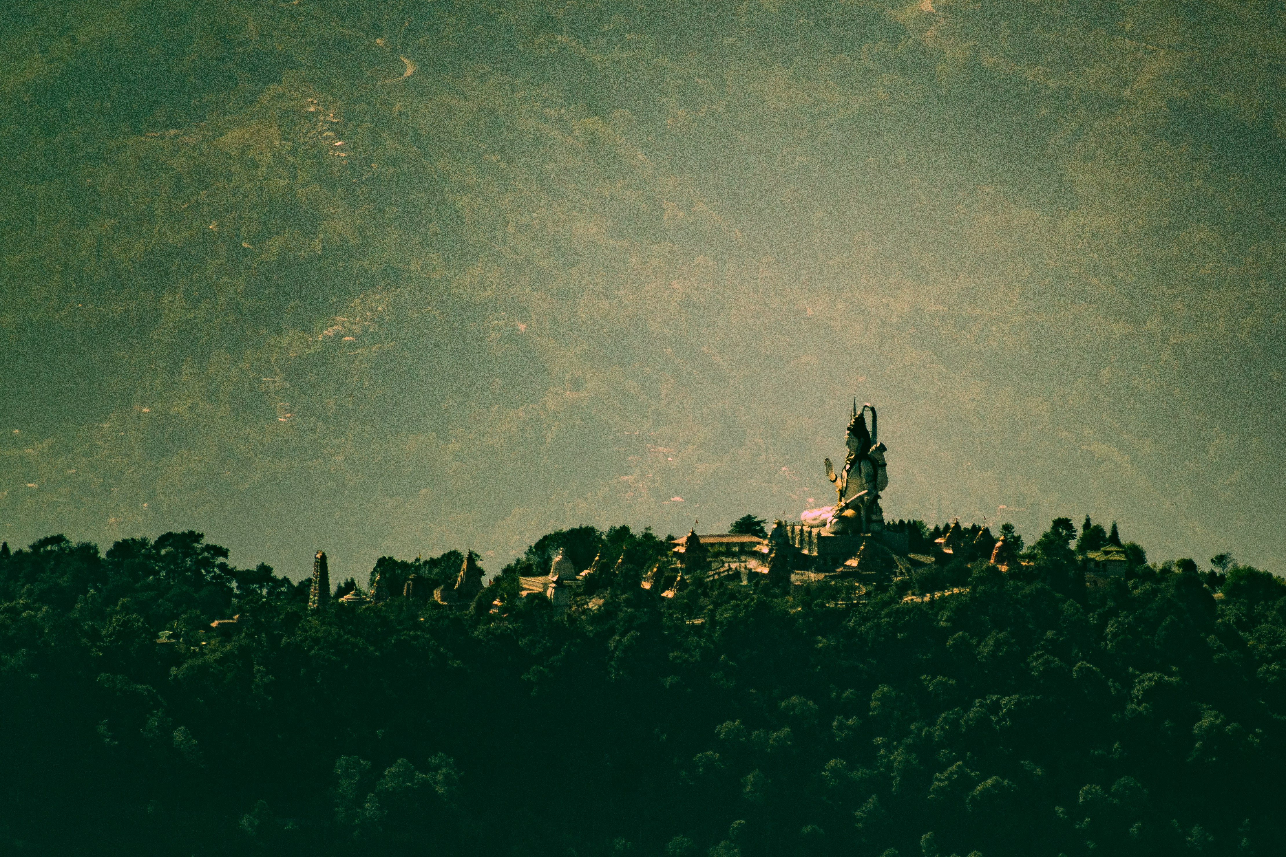 green trees on mountain during daytime