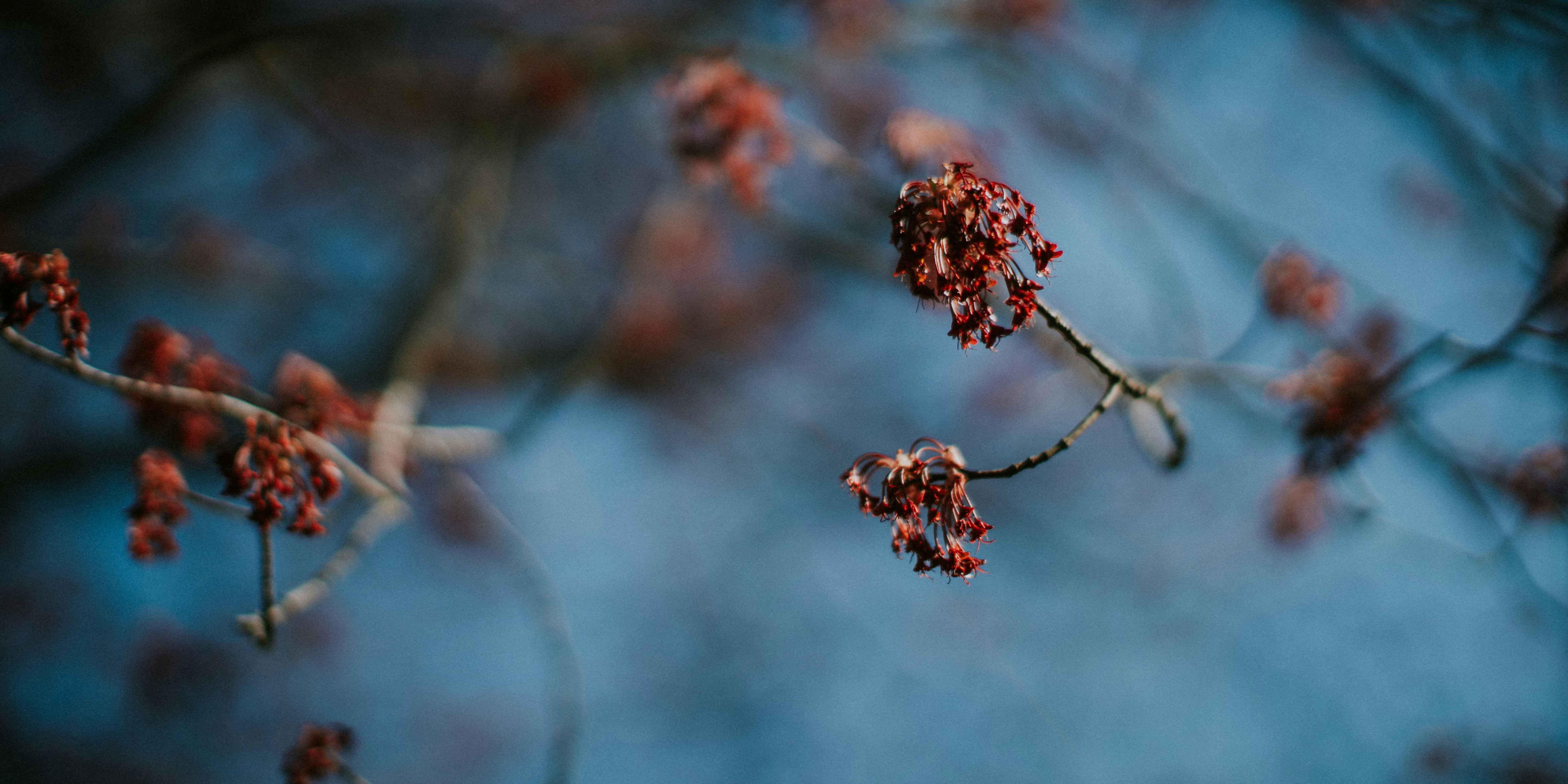 Photo by aftabasghar