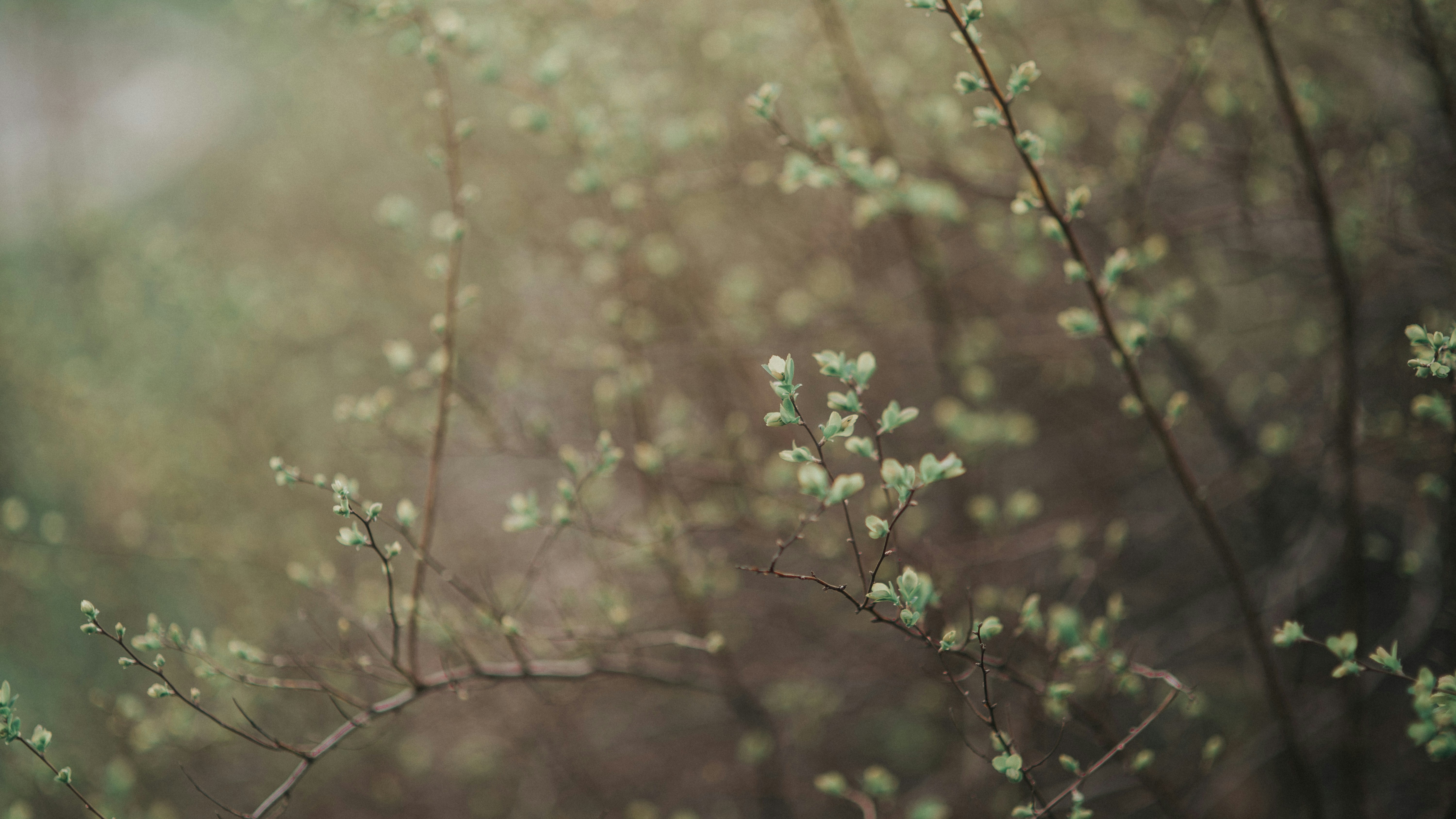 Photo by aftabasghar