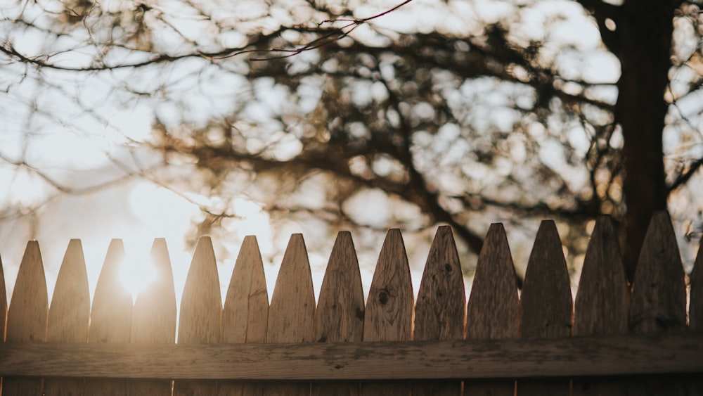 grayscale photo of wooden fence