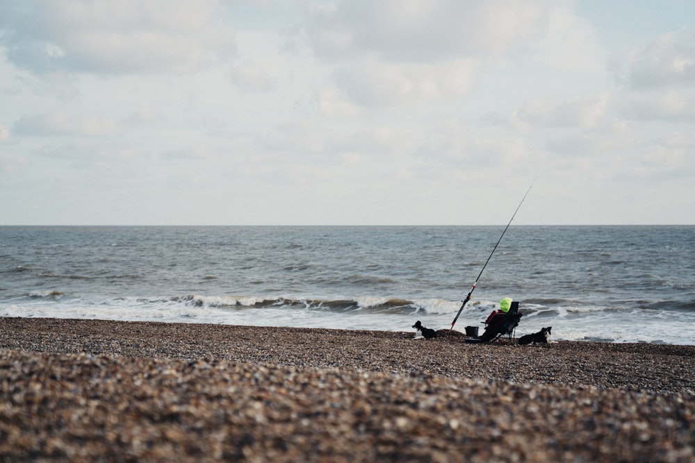 person in green shirt and black shorts fishing on sea during daytime