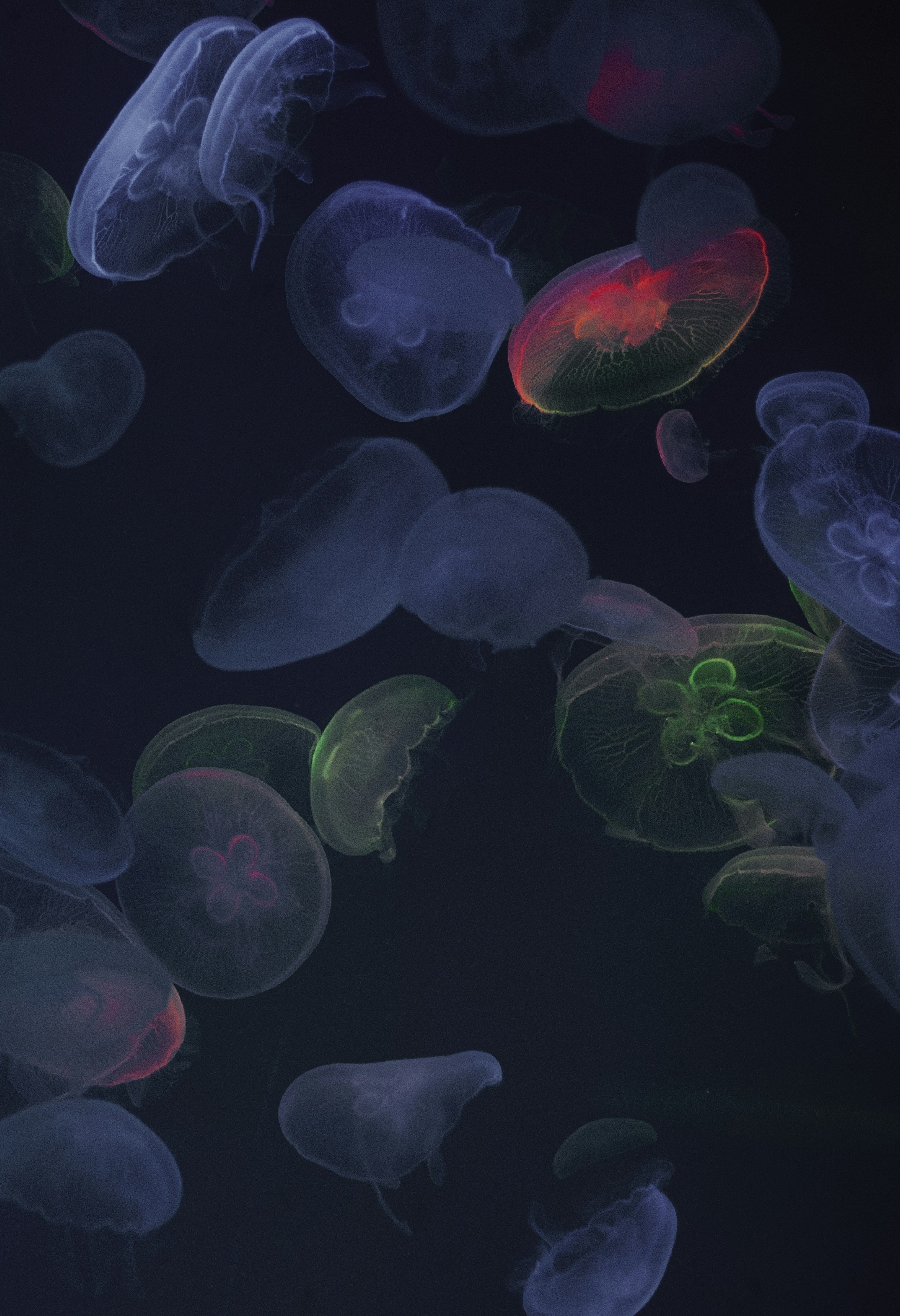 Photo by vinomamba24