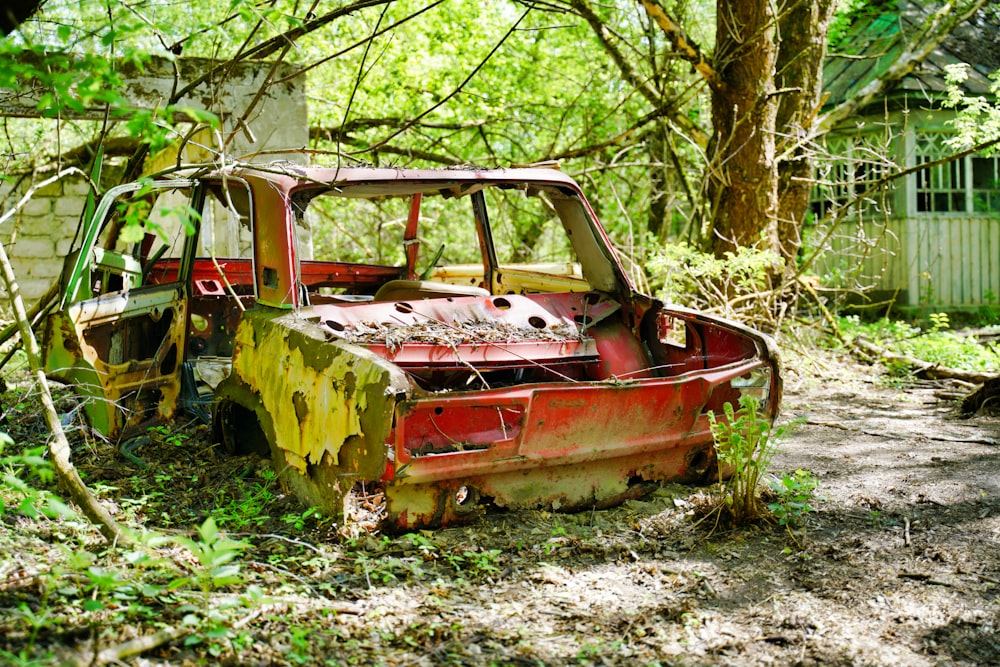 red and white car in forest during daytime