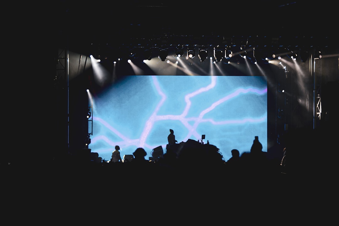 silhouette of people on a concert