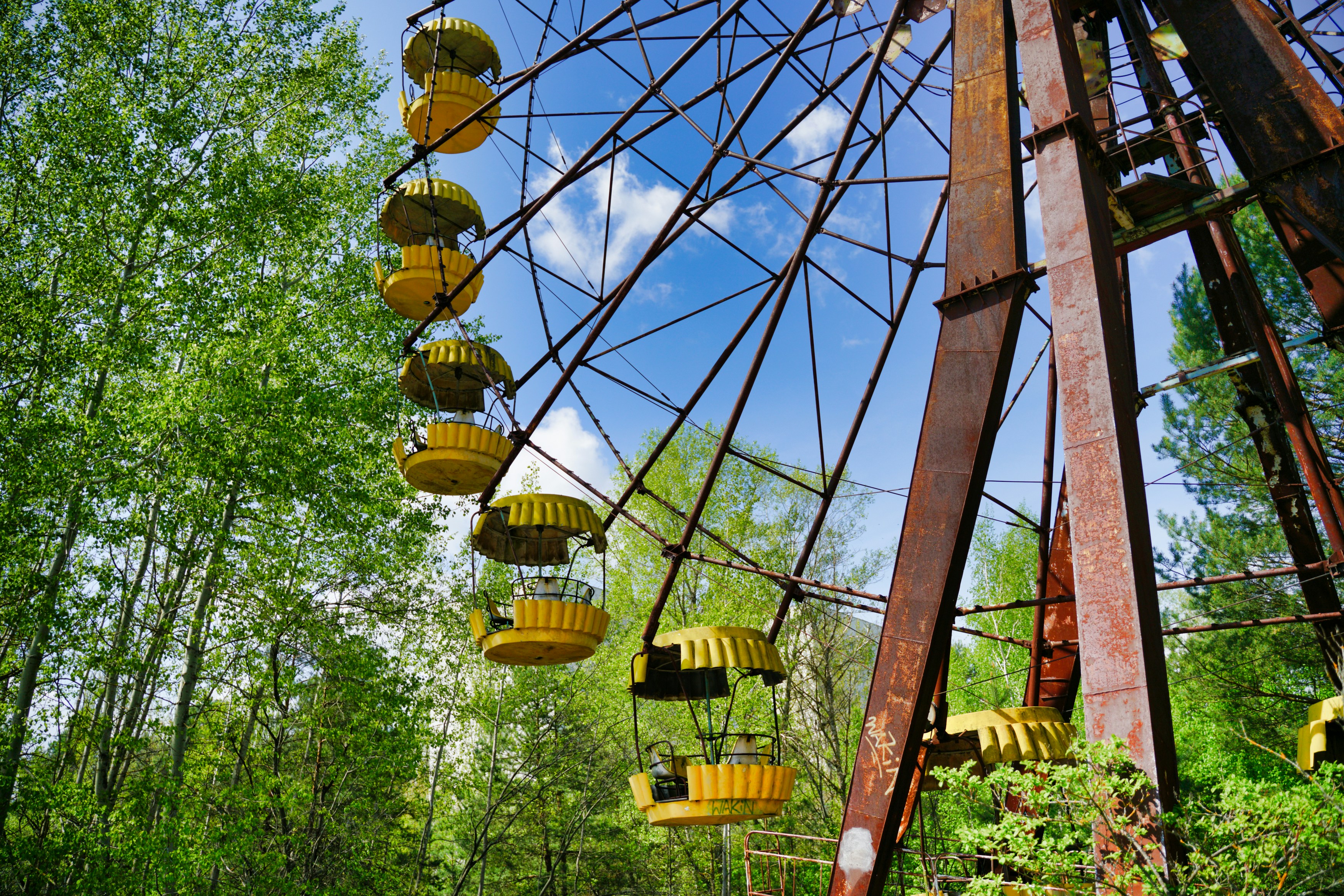 yellow and black hanging lanterns