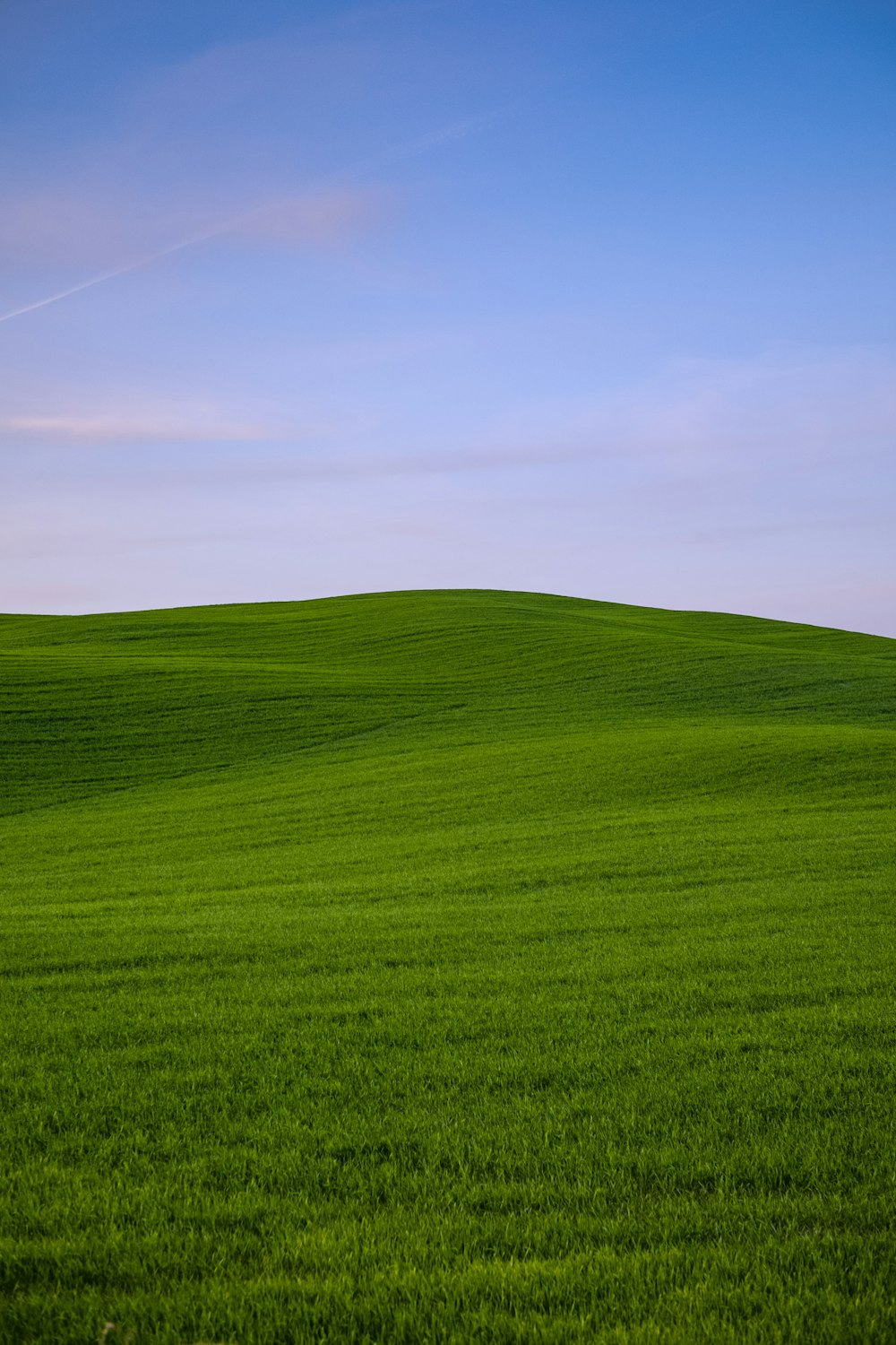 green grass field under blue sky during daytime