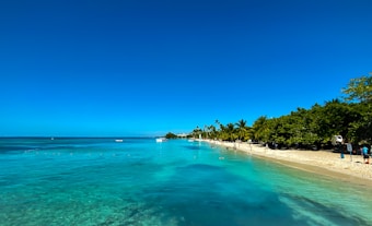 A serene beach scene with clear turquoise waters gently lapping against a sandy shore. Palm trees line the edge of the beach, and people are seen relaxing and enjoying the sun. The sky is clear and vibrant blue, creating a perfect tropical backdrop.
