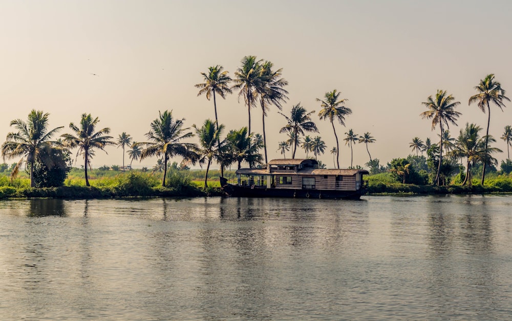 brown wooden boat on body of water near palm trees during daytime