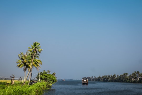 green palm tree near body of water during daytime in Alappuzha India