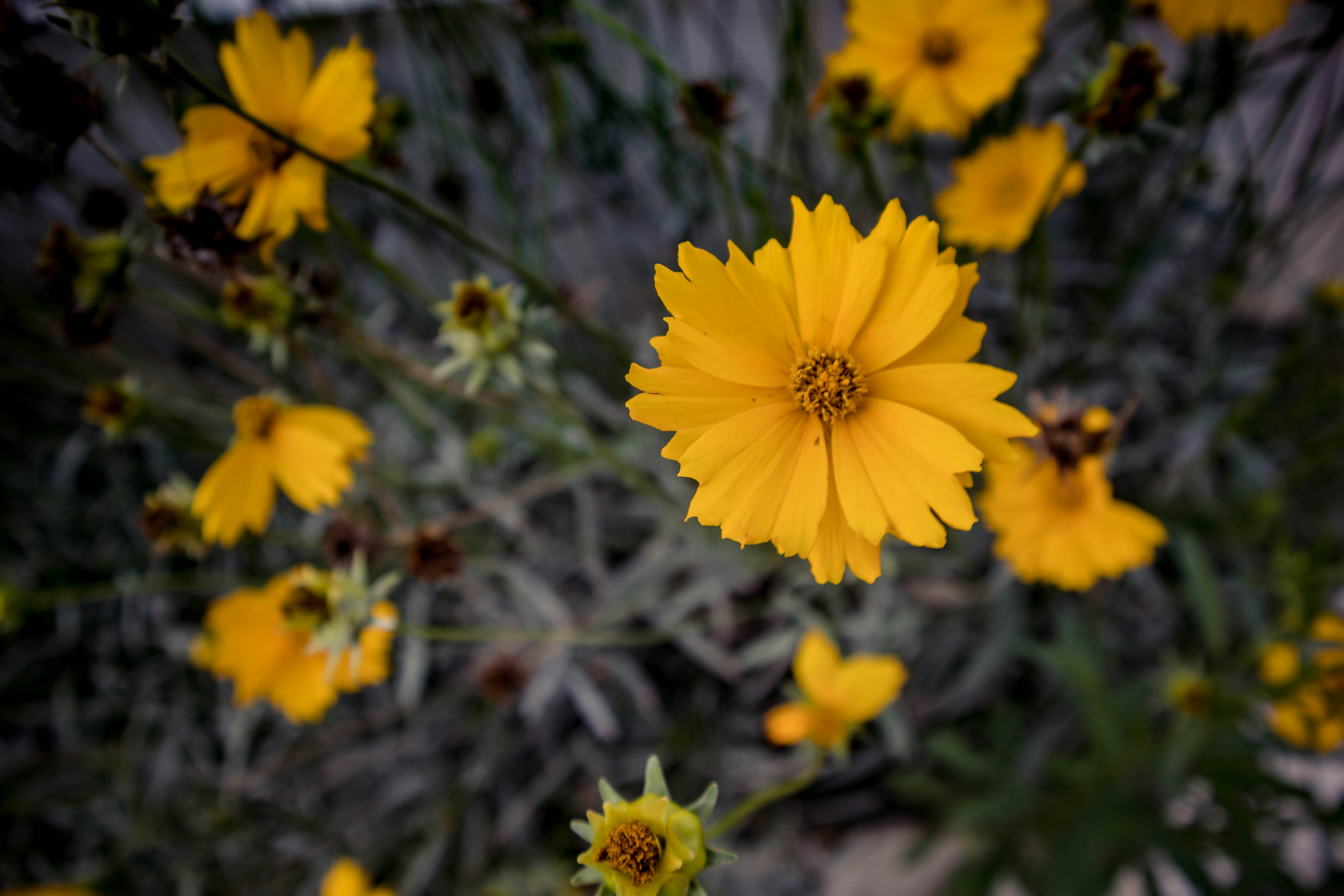 Photo by varunnambiar