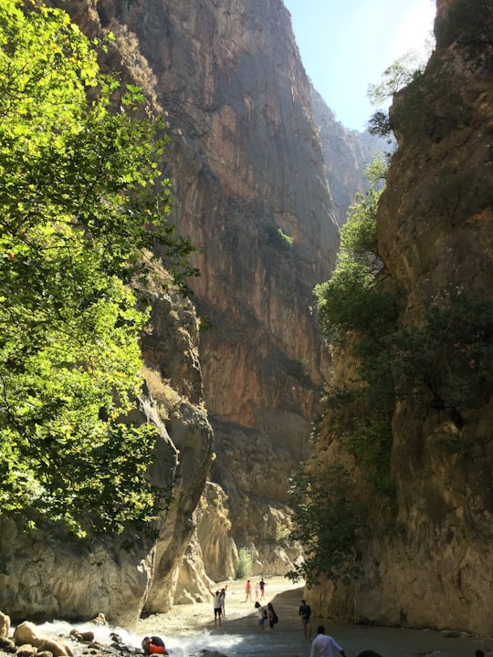 green trees on rocky mountain during daytime in Saklıkent Kanyon Turkey