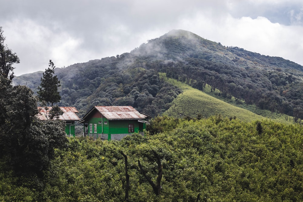 green and brown house on top of green mountain