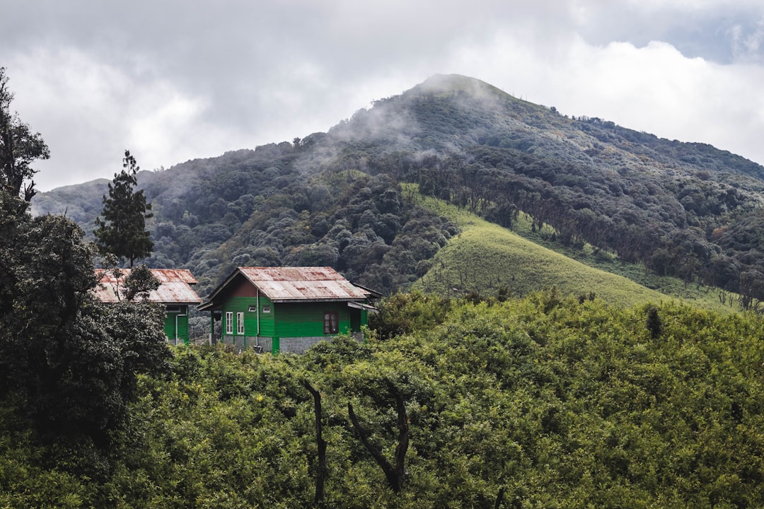 Hill station photo spot Dzükou Valley Guest House Nagaland