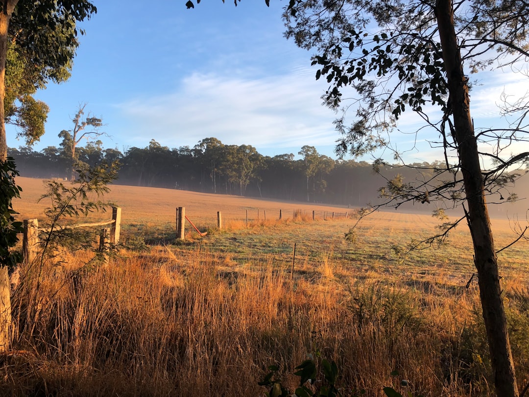 Nature reserve photo spot 742–780 Ashbourne Road Melbourne