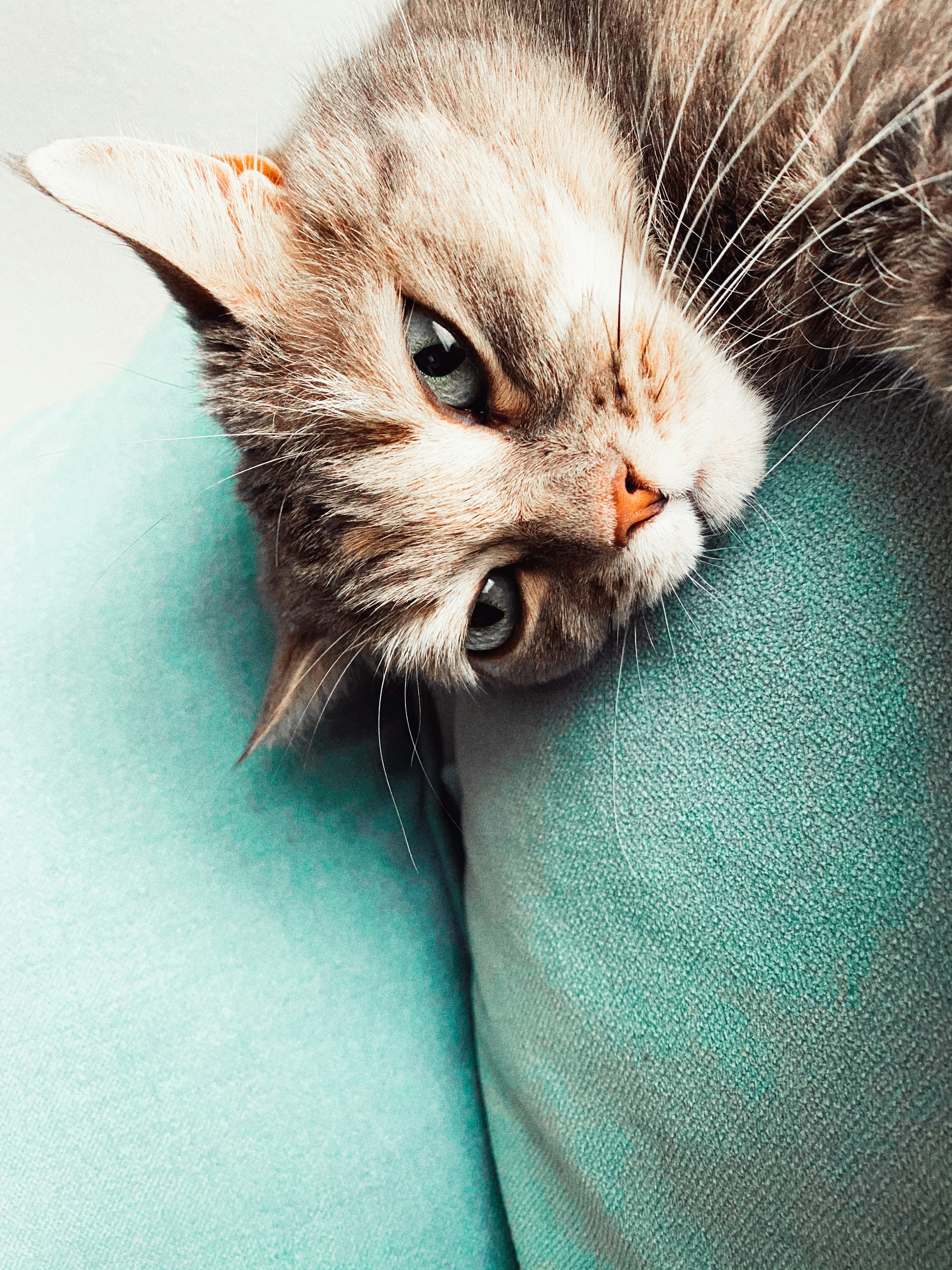 Photo by giulia_filidei