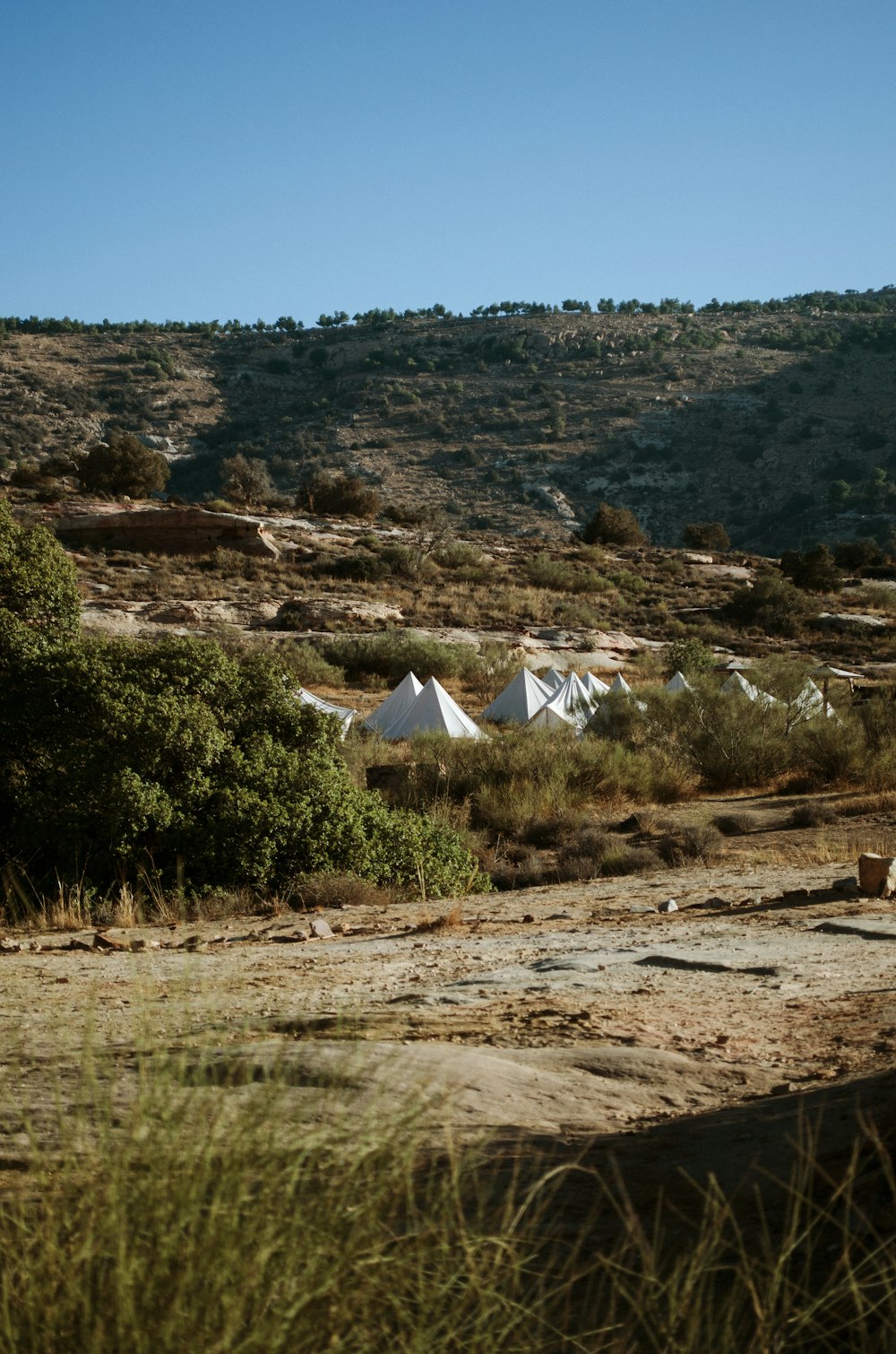 white tent on brown soil