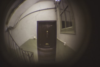 A fisheye view captures an indoor hallway with a closed door at the center. The walls are painted in two tones, a light grey above and a muted green below. An old-fashioned staircase railing is visible on the left side, and a window with horizontal bars is positioned on the right wall. The image has a distortion effect typical of fisheye lenses.