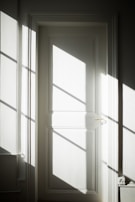 A classic white paneled door with polished brass handles, bathed in natural sunlight.