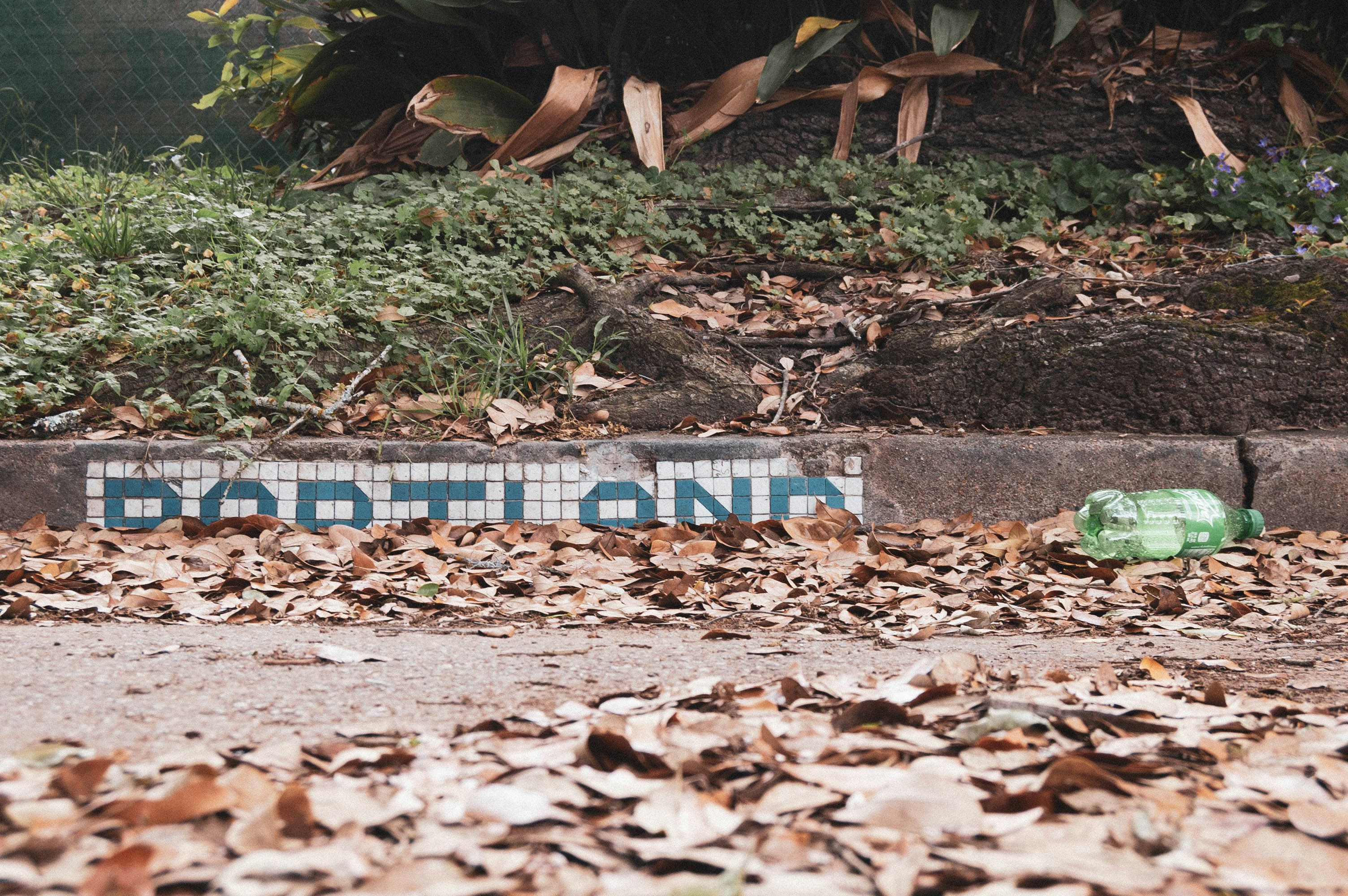 Animated Sprites In Cocos2D