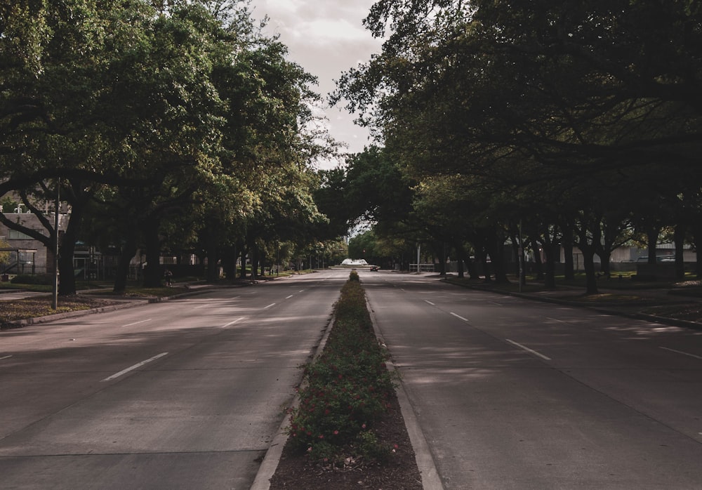 gray concrete road between green trees under white clouds during daytime