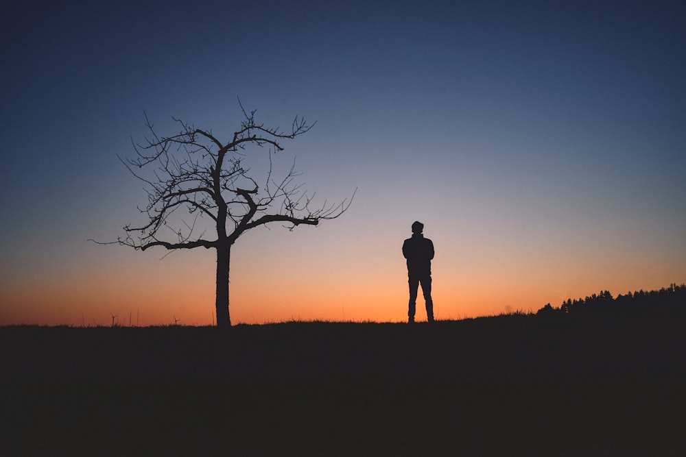Silhouette eines Mannes, der während des Sonnenuntergangs in der Nähe eines kahlen Baumes steht