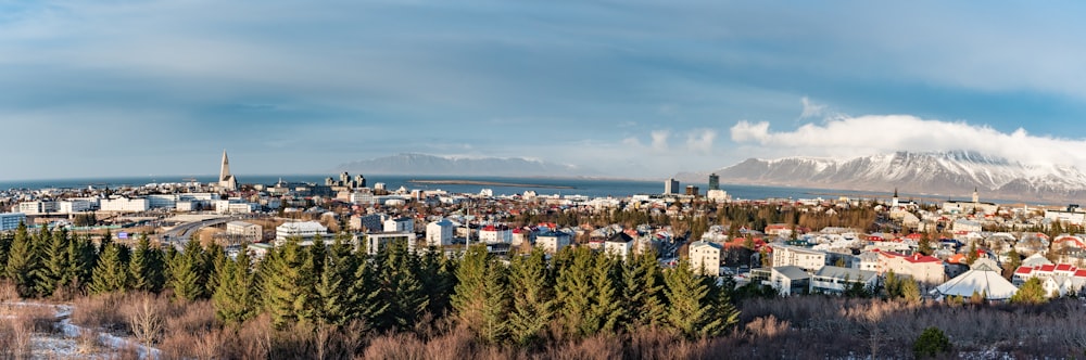 city buildings under blue sky during daytime