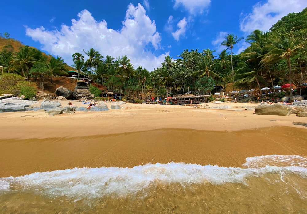 people on beach during daytime