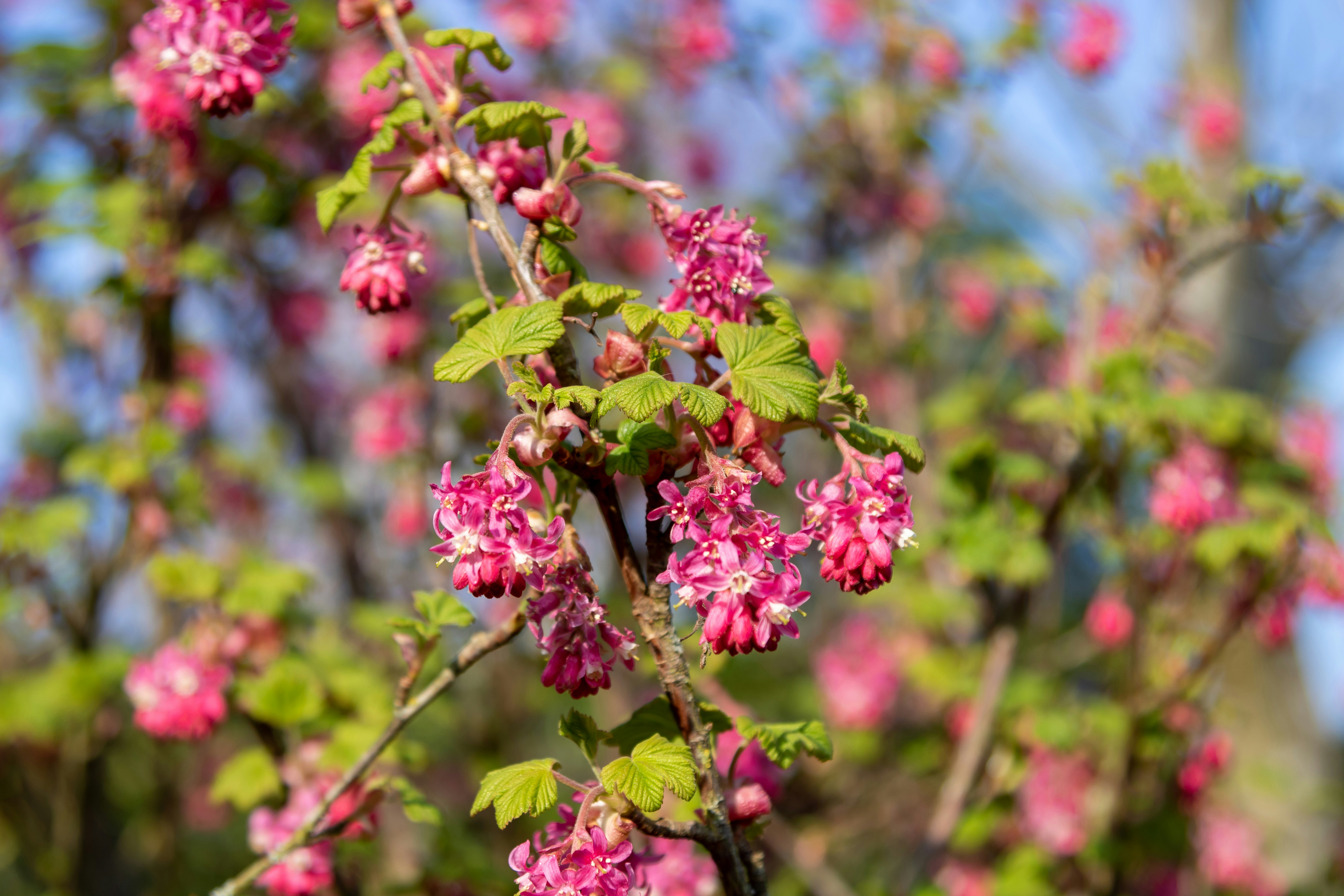 Photo by charliegreen998