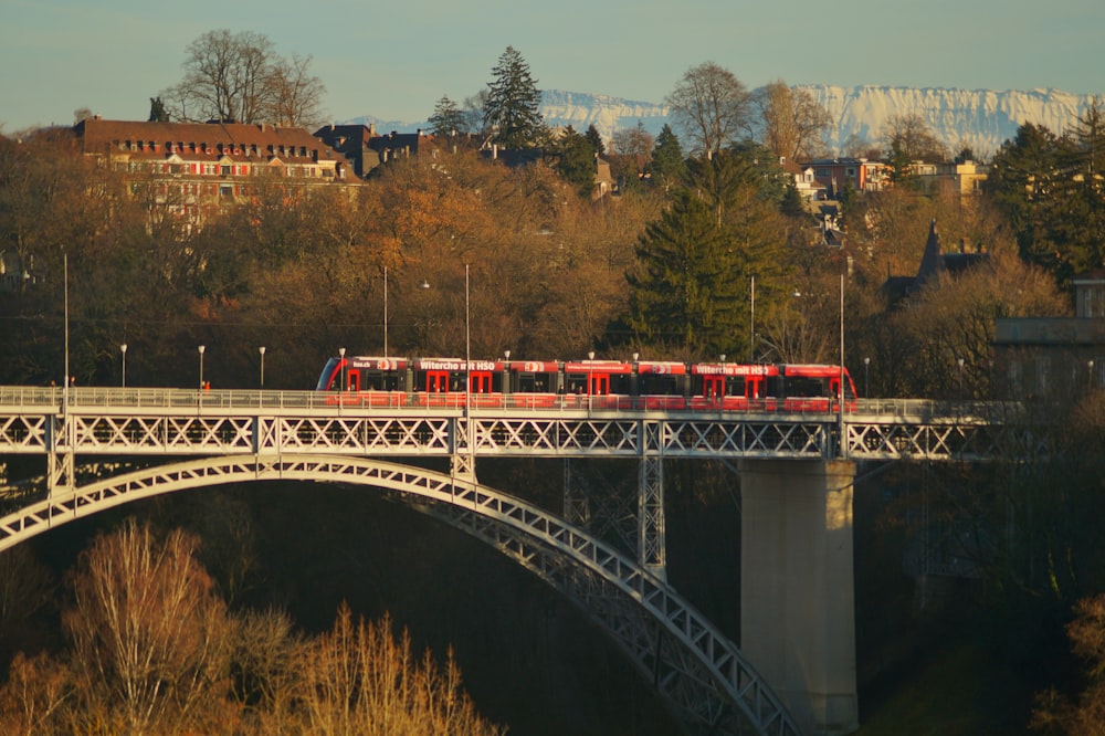 ponte bianco e rosso sul fiume