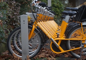 yellow bicycle with black wheel